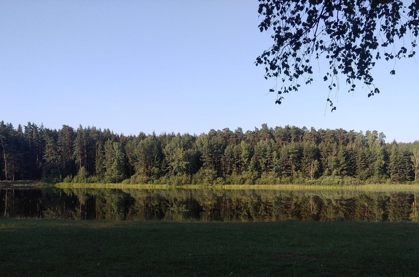 Líšnický rybník u Milevska