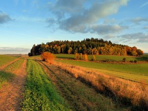 Vysocina